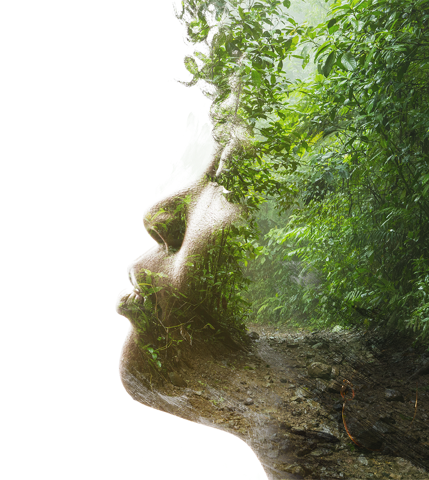 Ação socioambiental da Greenew
